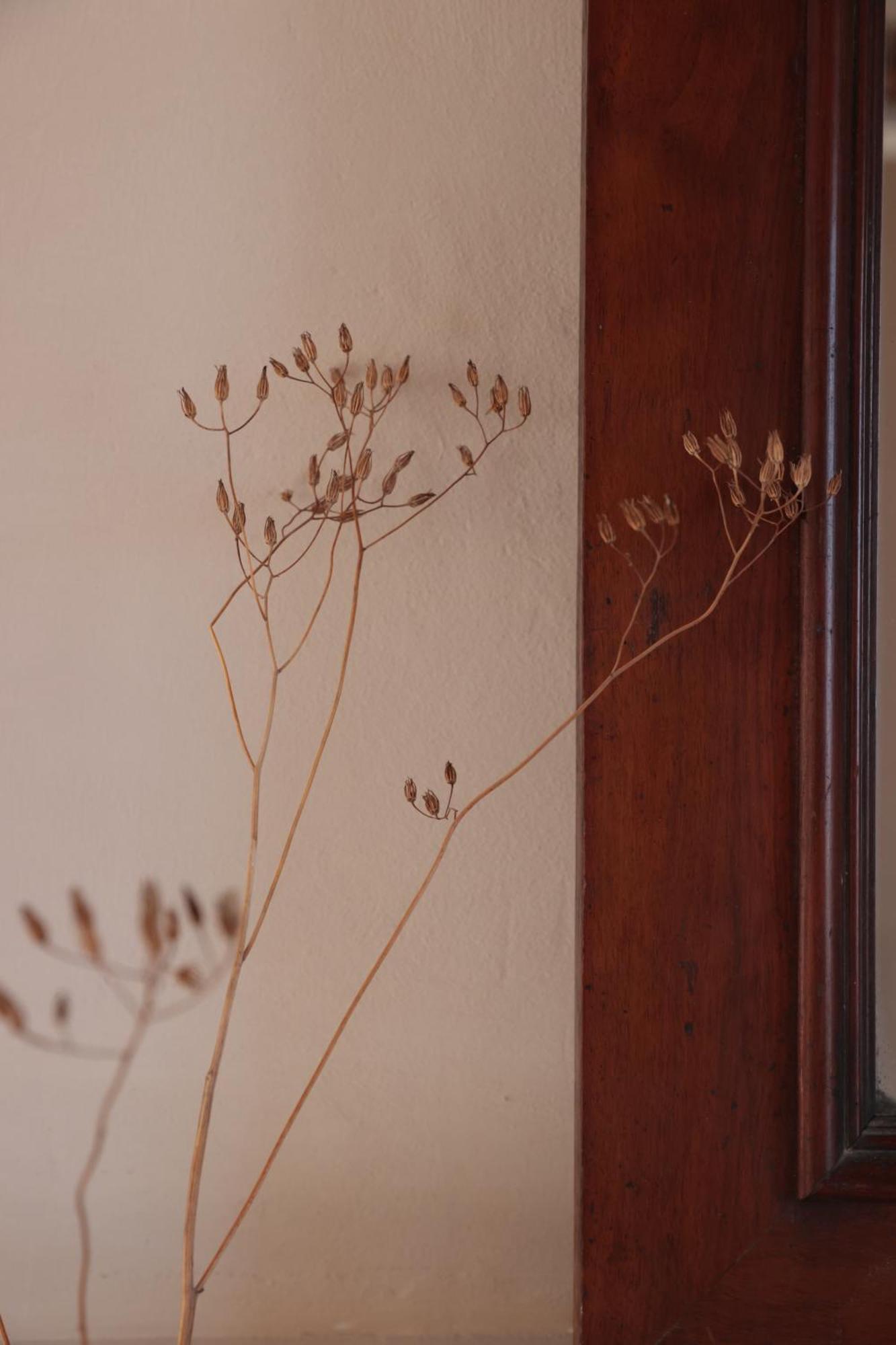 Casa Pauseto *