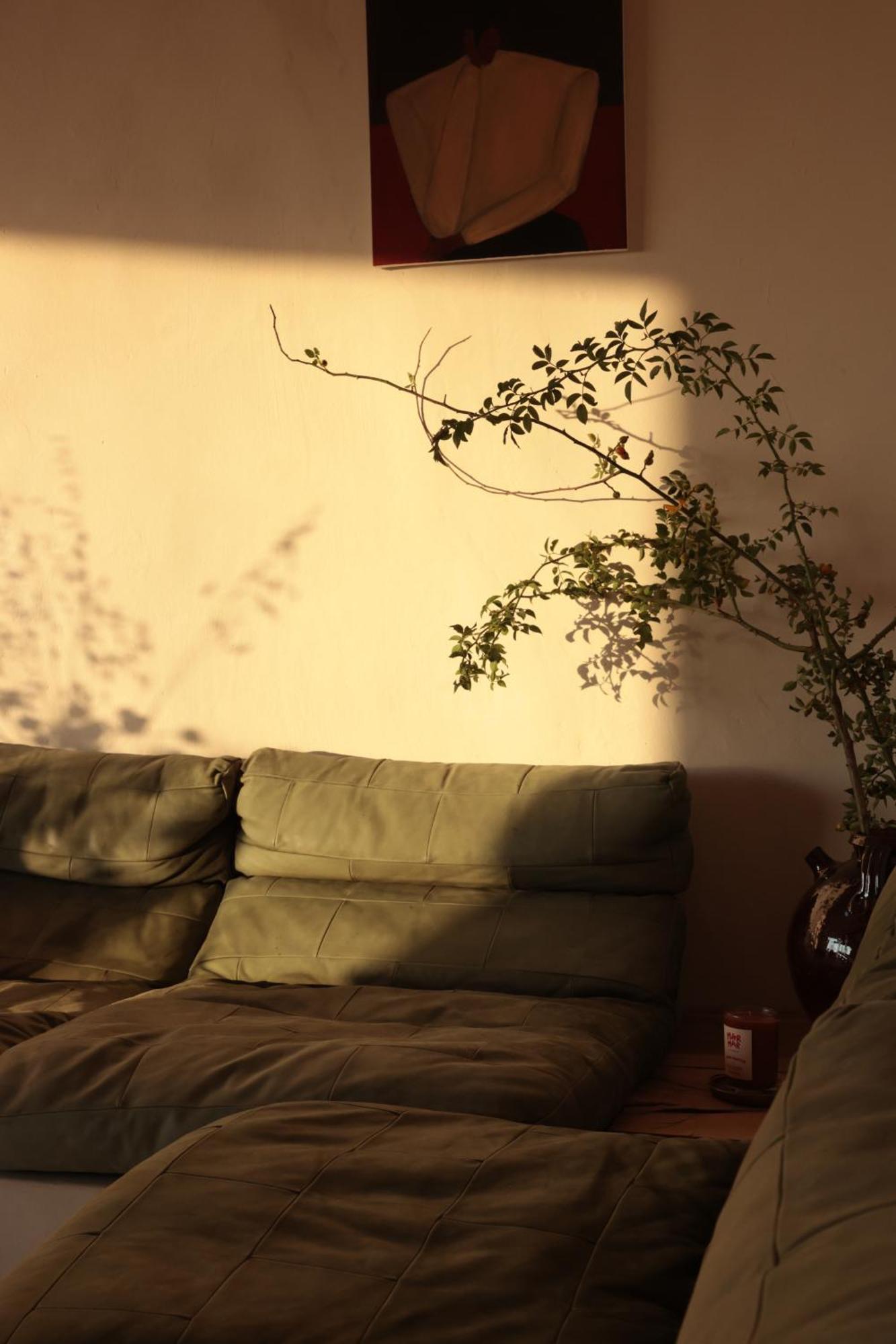Casa Pauseto * Bonnieux